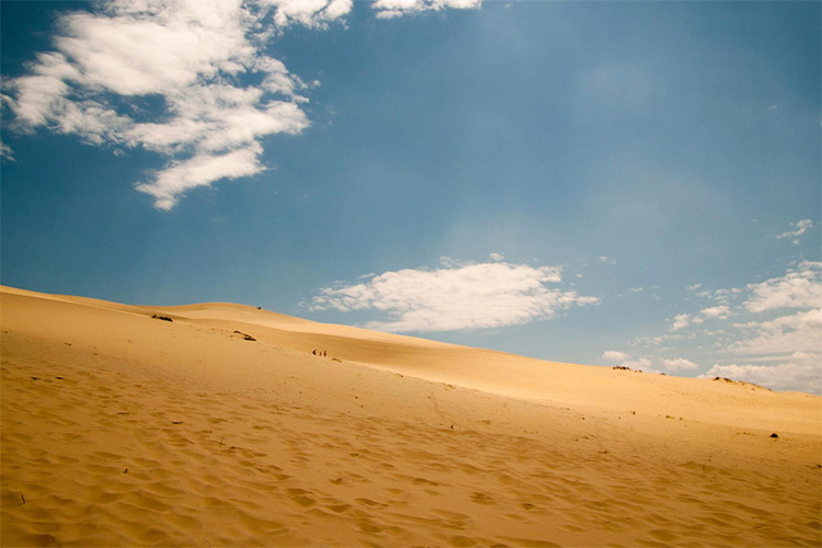 Dune du Pilat: 110 meters of pure gliding fun