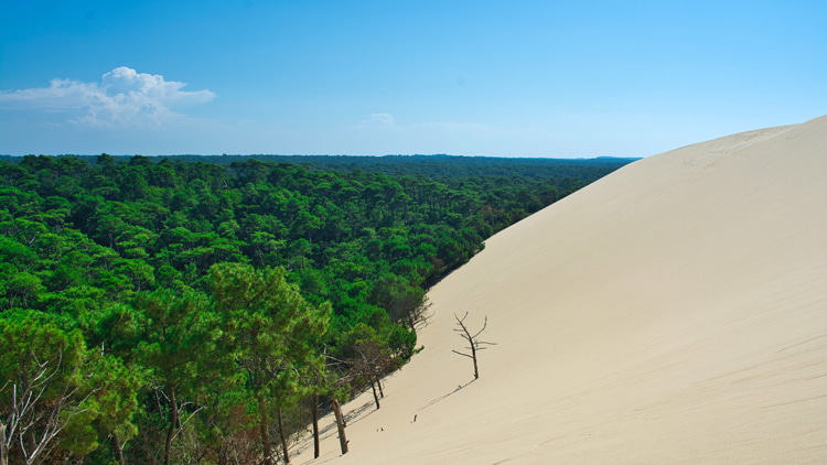 Dune du Pilat: Europe's largest sand dune | Photo: Knell/Creative Commons