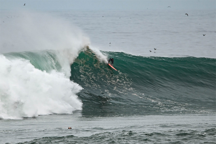 El Buey: the wave starts breaking at eight feet and can go up to 20 feet plus | Photo: Santos del Mar Invitational