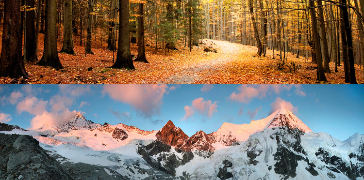 Fall and winter: the colder seasons | Photo: Shutterstock