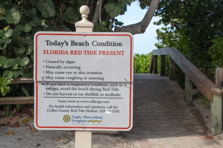 Florida: red tides are common along the Gulf Coast coastlines | Photo: florida-guidebook.com/Creative Commons