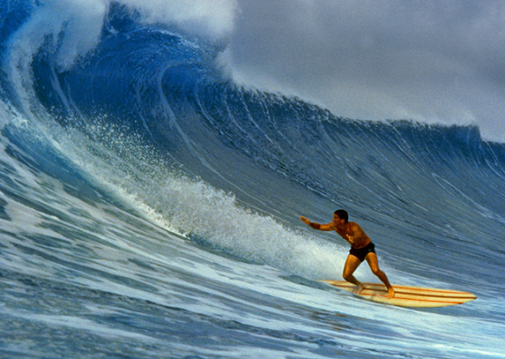Fred Hemmings: the statesman surfer