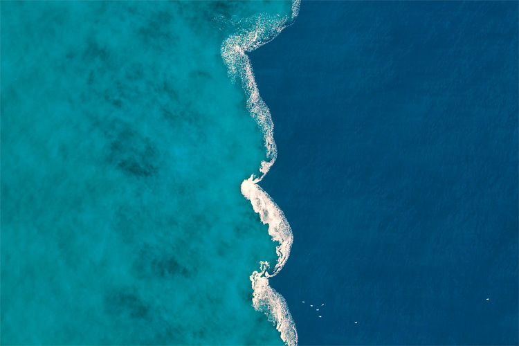 Fresh water meets sea water: sediment carried into the ocean by rivers on the left makes the water appear lighter | Photo: Yann Arthus-Bertrand