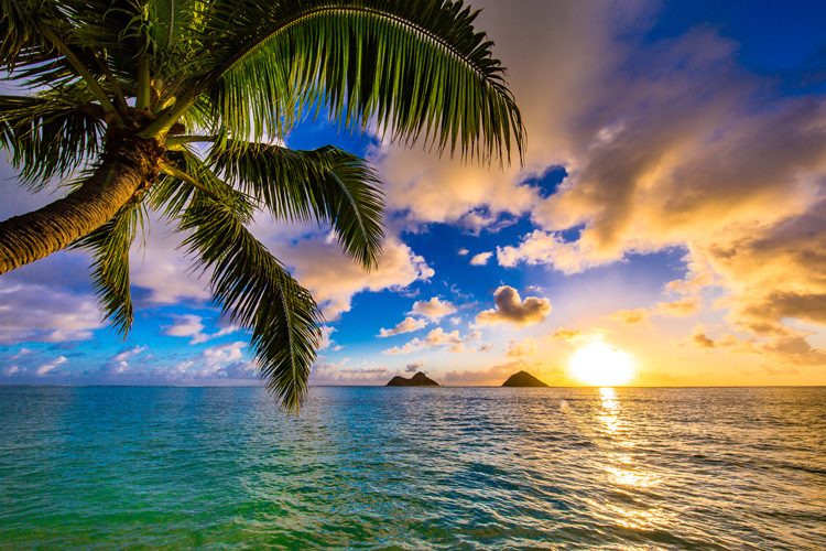 Hawaii: the Polynesian culture is rich in quotes, proverbs and sayings | Photo: Shutterstock