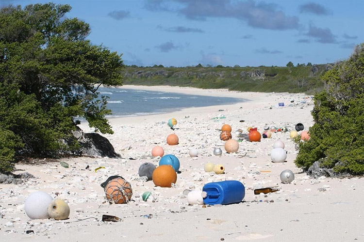 Henderson Island: the most plastic-polluted place in the world | Photo: Jennifer Lavers