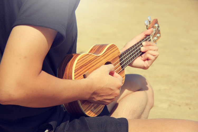 Ukulele: keeping it against your chest and cradled between your strumming arm and our body is the best way to hold the four-string guitar | Photo: Apichodilok/Creative Commons