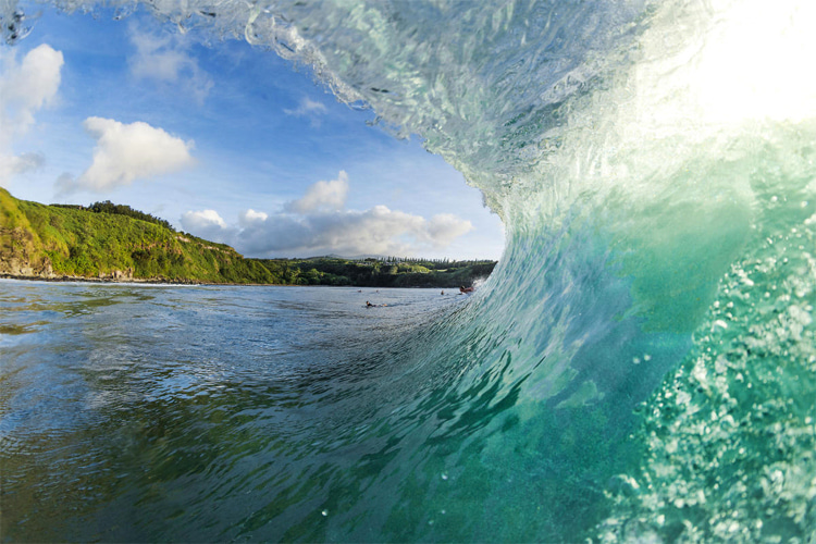 Honolua Bay: the Maui wave offers plenty of barreling opportunities | Photo: WSL