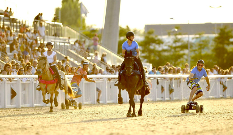 Horse boarding: an equestrian sport that involves horsepower and boards | Photo: Horse Surfing Official
