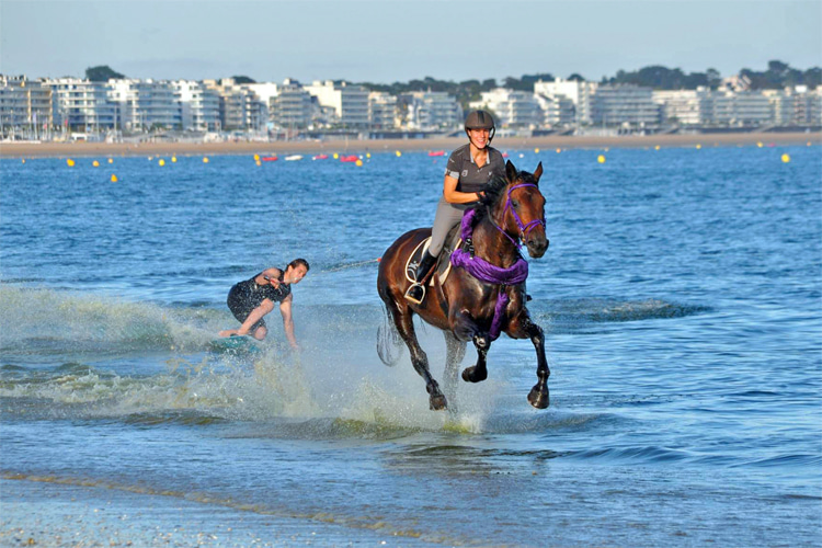 Horse surfing: when galloping meets water sports | Photo: Horse Surfing Official