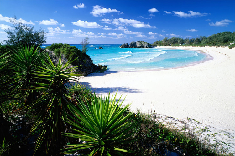 Horseshoe Bay Beach: enjoy the transparent waves of Bermuda