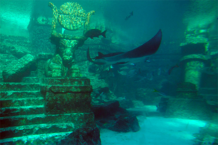 Atlantis: the lost underwater city was first presented by Plato in his dialogues 'Timaeus' and 'Critias' | Photo: Creative Commons