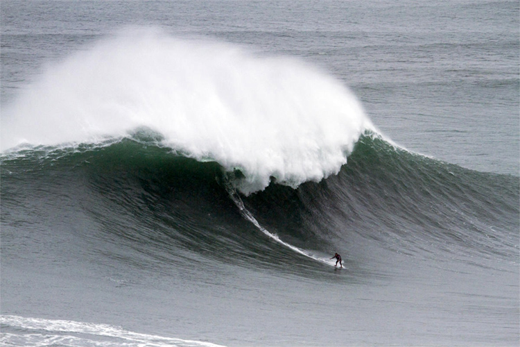Joana Andrade: Portugal's first big wave surfer | Photo: WSL