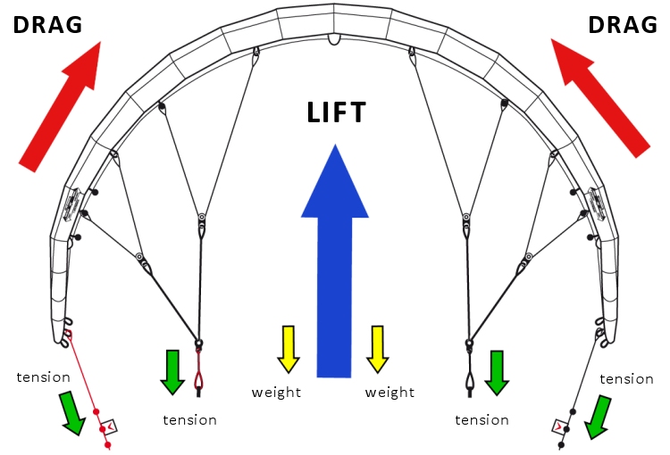 The aerodynamic forces: lift and drag plus weight and tension