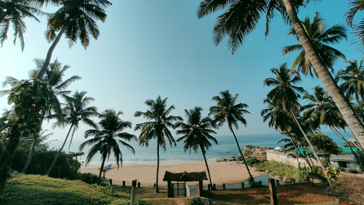 Kovalam, Kerala: an Indian Ocean surf break surrounded by wildlife and palm trees | Photo: Hibathulla/Creative Commons