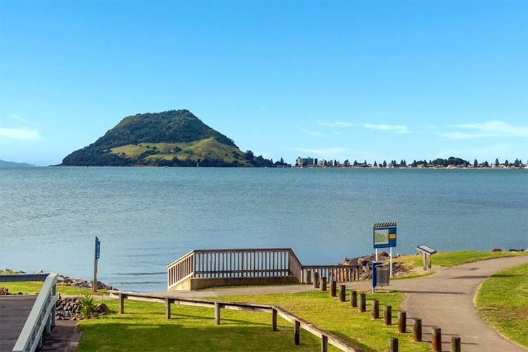 Kulim Park: one of the finest windsurf and kite launching spot in New Zealand | Photo: Harcourts