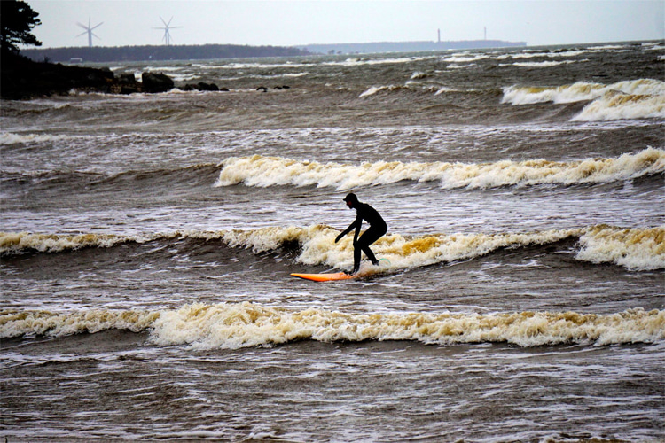 Laulasmaa Beach: a cold water surfer negotiates a wind swell wave | Photo: Laulasmaa Surfiklubi