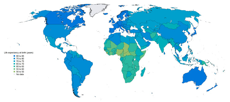 The Life Expectancy World Map