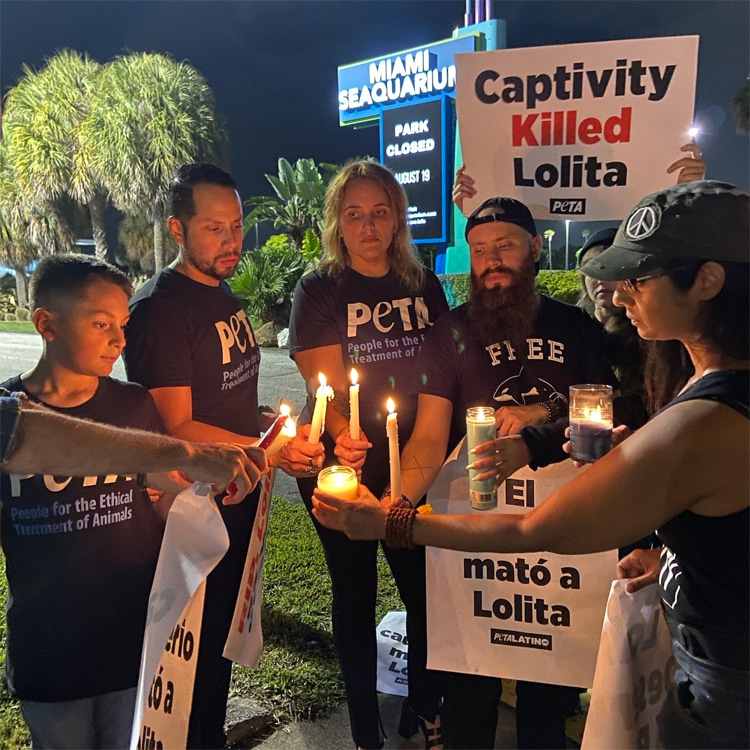 Lolita: animal rights activists protest outside Miami Seaquarium | Photo: PETA