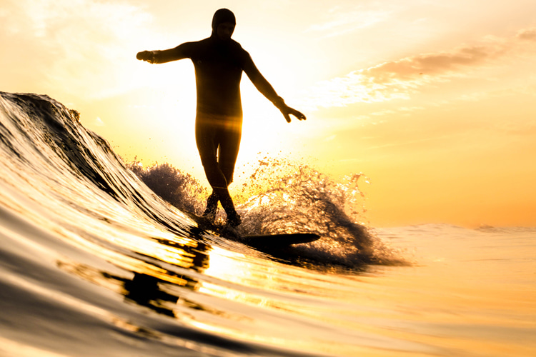 Surfboards: sometimes they can be truly magnificent wave riding sculptures | Photo: Shutterstock