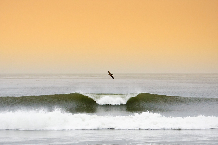 Lower Trestles: a perfect A-frame surfing wave in the heart of Southern California | Photo: WSL