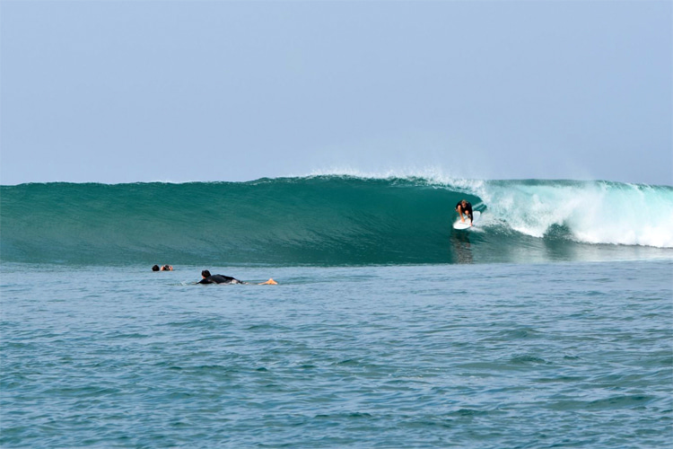 Madagascar: the fourth largest island in the world has perfect waves | Photo: Mada Collective