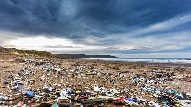 Plastics: a threat to the marine ecosystem | Photo: 2 Minute Foundation