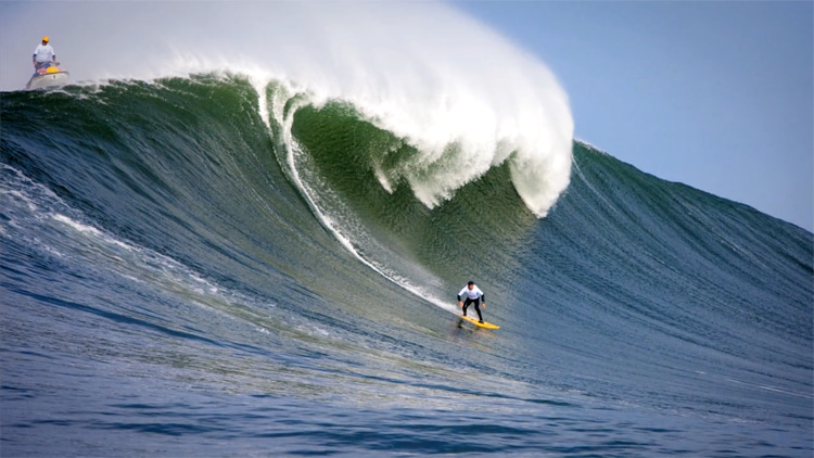 Nelscott Reef: Oregon's shark-infested, cold water, big wave surfing break | Photo: The Find