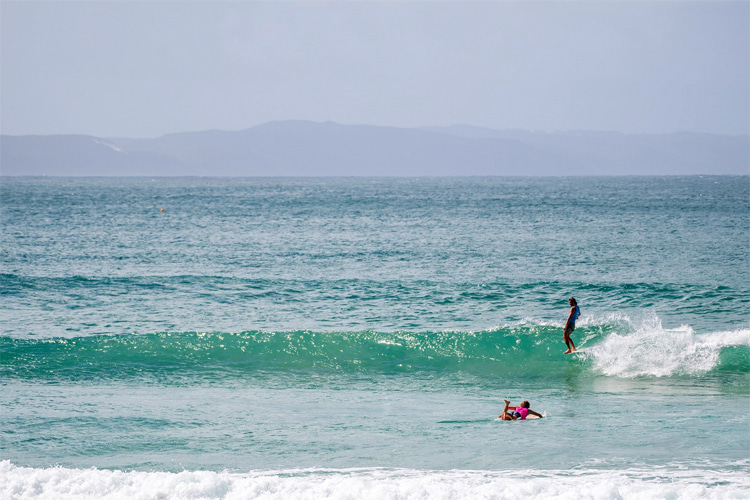 Noosa: a World Surfing Reserve approved in 2017 | Photo: Save the Waves