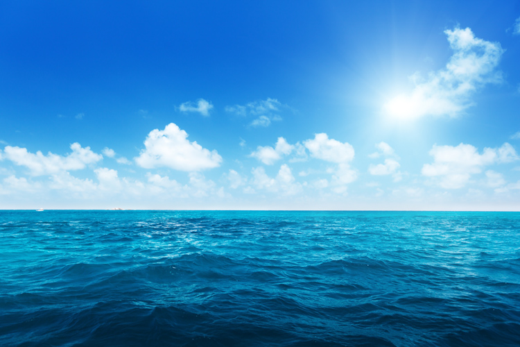 22 things you didn't know about the oceans
