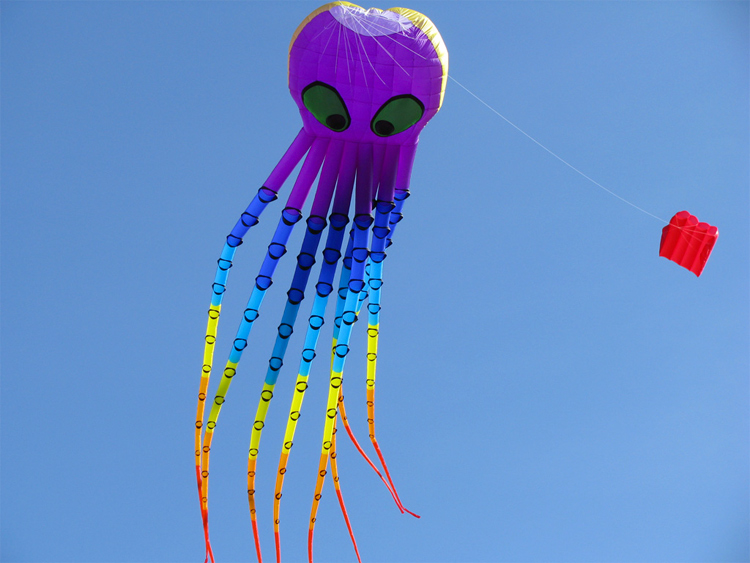 Octopus: the bridle-supported, curved leading edge kite by Peter Lynn | Photo: Peter Lynn