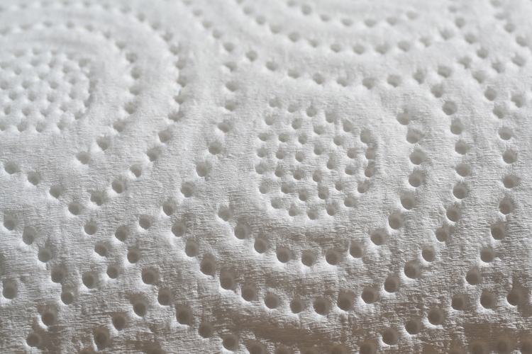 Paper towel: they do not have the same characteristics as toilet paper | Photo: Creative Commons