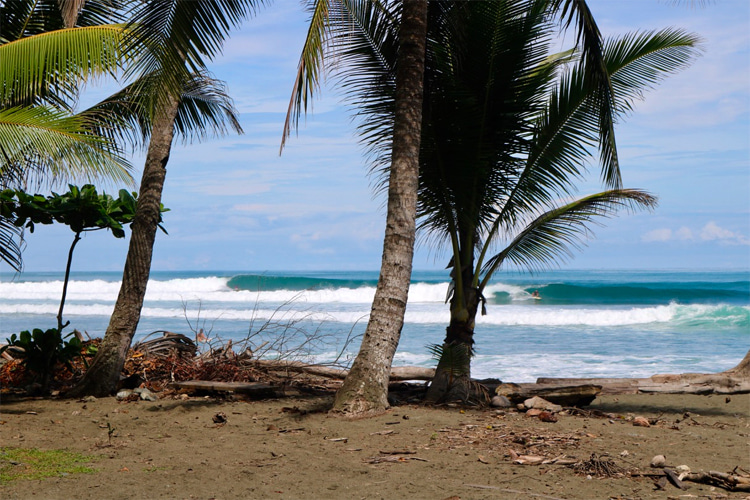 Pavones: the famous Costa Rica left-hand wave features three sections at low tide | Photo: Lima Jr./Pena