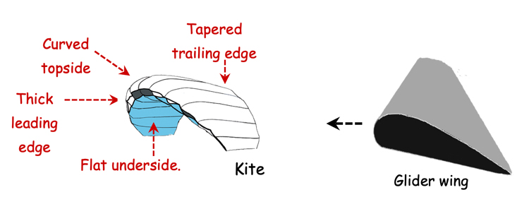 Features of kite design and a glider wing