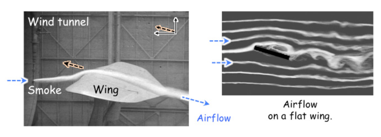 Airflow on curved and flat wings