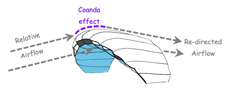 Curved shape of a kite re-directs airflow using the Coanda effect