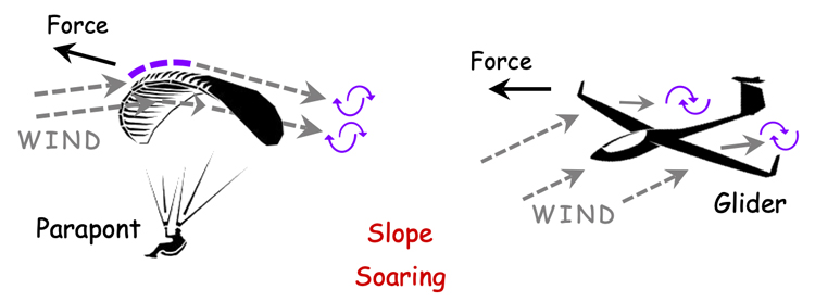 Forces acting on a paraglider and glider slope soaring