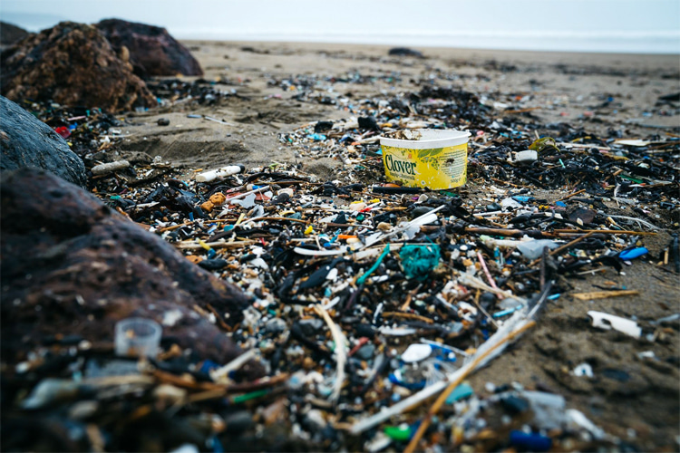 UK beaches: the top 12 most polluting brands are responsible for 48 percent of branded pollution overall | Photo: SAS