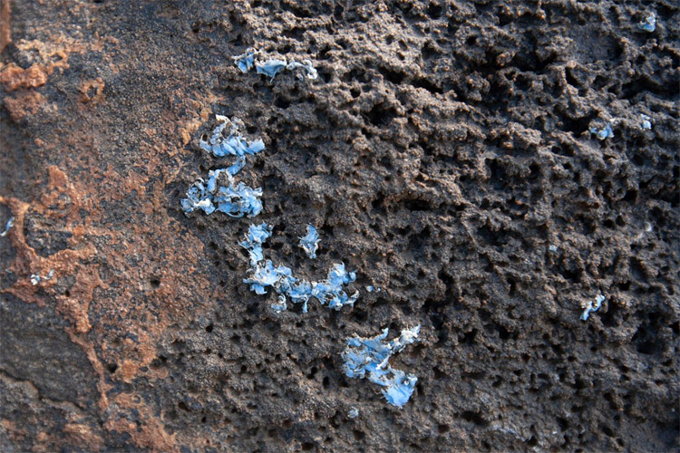 Plasticrust: plastic encrusted in Madeira's near-shore rock formations | Photo: Gestoso