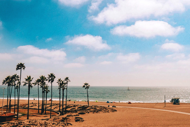 Playa del Rey, California: surf is where waves are breaking | Photo: Creative Commons