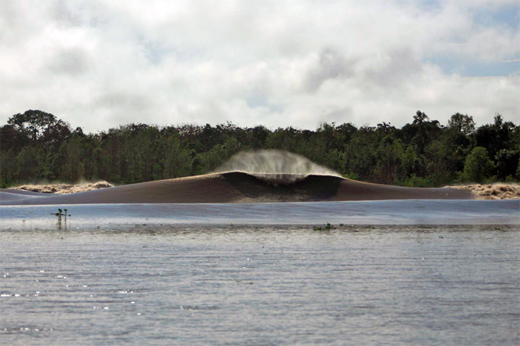 Pororoca: a powerful tidal bore wave that destroys vegetation, large trees, and even houses on its way upstream of the Amazon River | Photo: Laus Archive