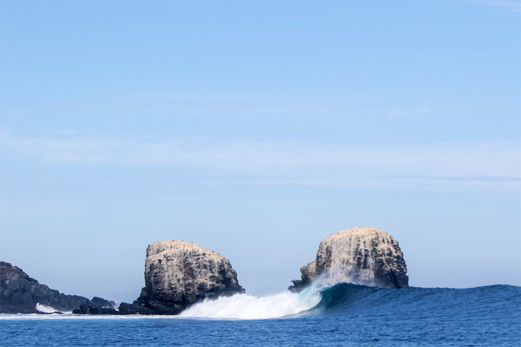 Punta de Lobos: the iconic wave breaks in front of sea racks and headlands | Photo: Save the Waves