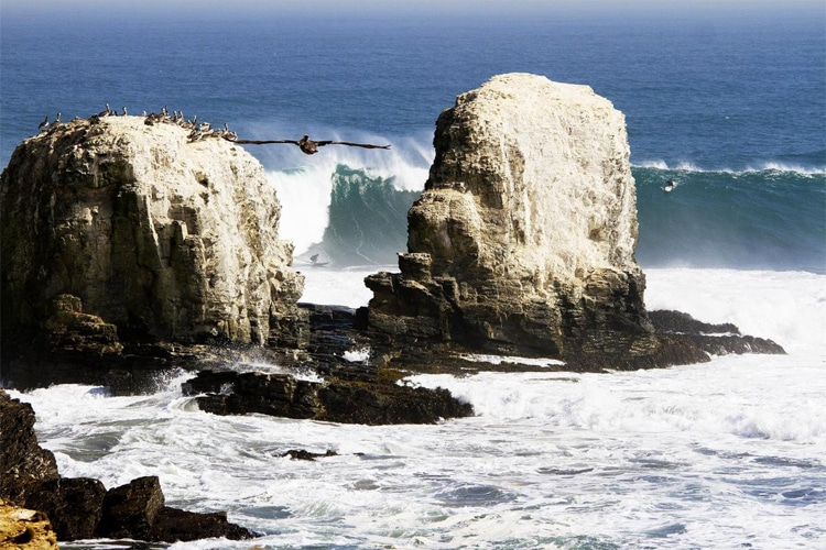 Punta de Lobos: the take-off zone is knows as 'The Point' | Photo: WSL