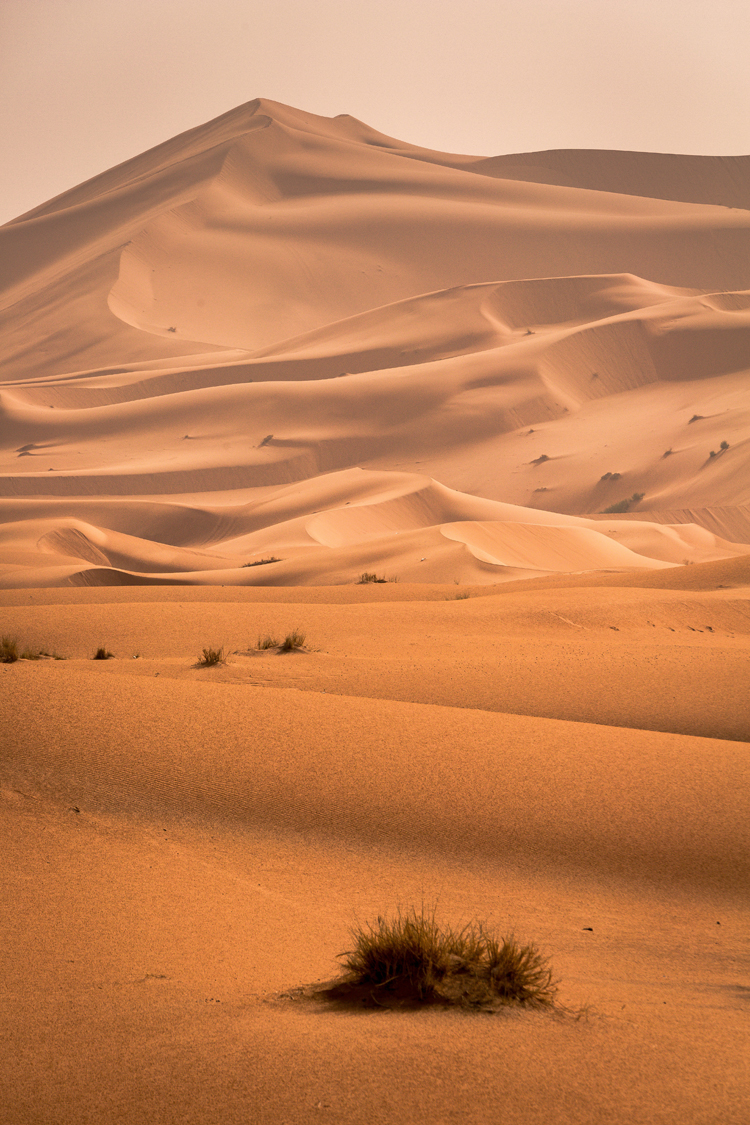 Sahara: a desert of dunes | Photo: Ulzibat/Creative Commons