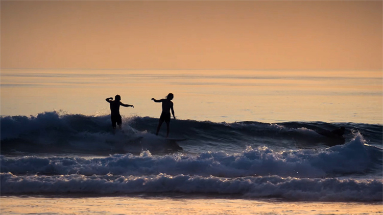 Self Discovery for Social Survival: surf all day, compose all night