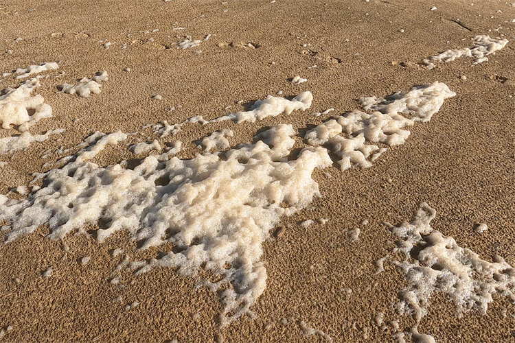 Sea foam: the result of the interaction between the breaking of the waves and organic matter found in sea water | Photo: SurferToday.com