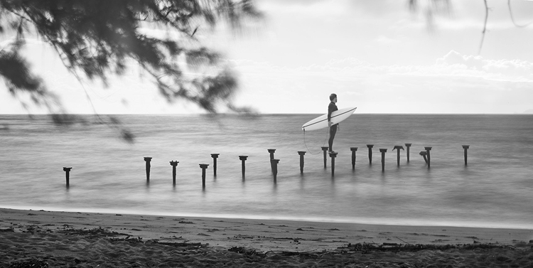 Surf Sticks | Sentinels of the Sea | Photo: Weston Fuller
