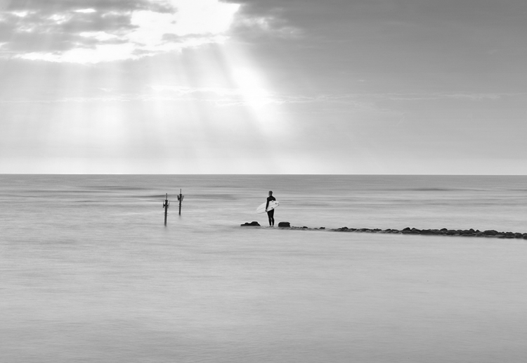 Surf Rays | Sentinels of the Sea | Photo: Weston Fuller