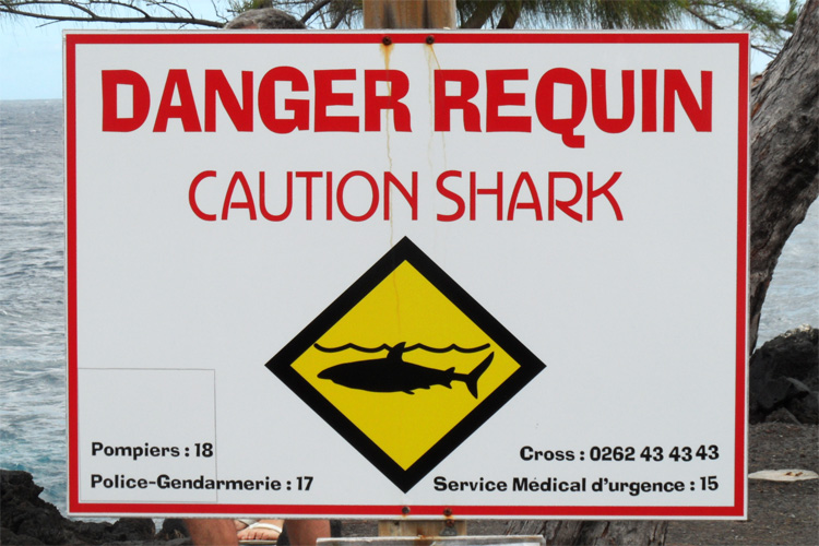 Shark attacks: respect the the beach flags and warning signs | Photo: Creative Commons