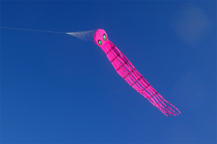 Single skin, single line kites: reliable in a range of winds as pilot and show kites | Photo: Peter Lynn
