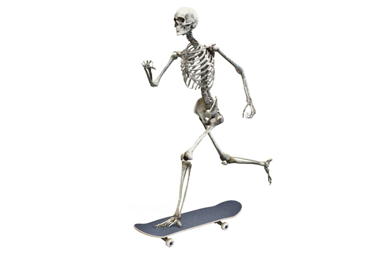 Skateboarding: your skateboard will outlive you | Illustration: Brooke/Ho